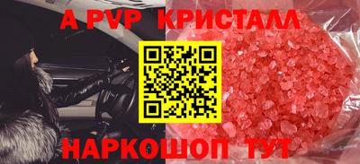 СК Новокубанск