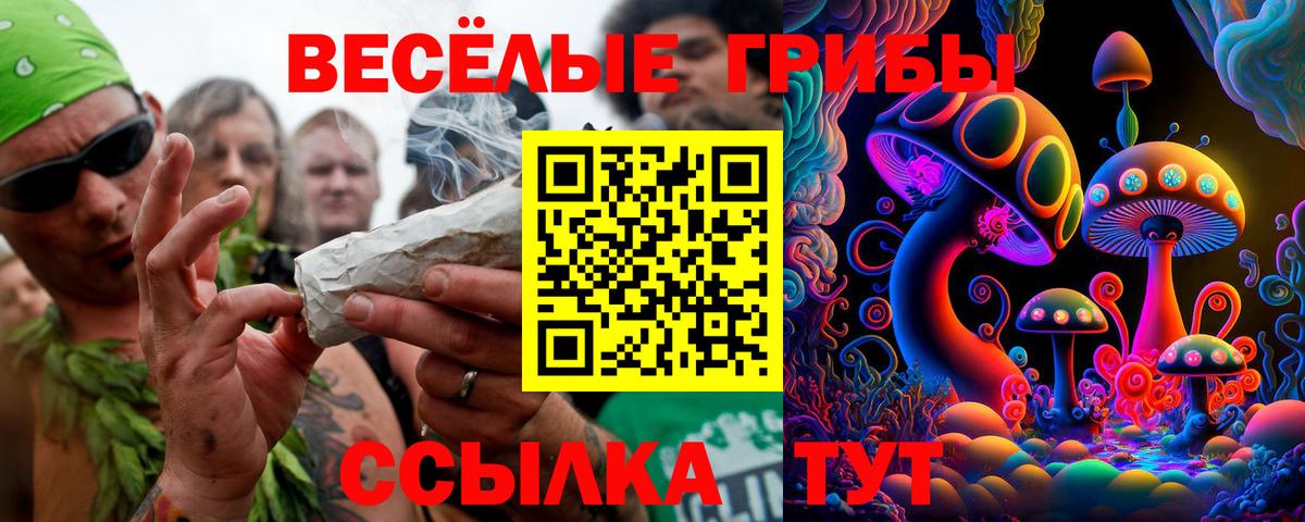Псилоцибиновые грибы Cubensis Чебоксары